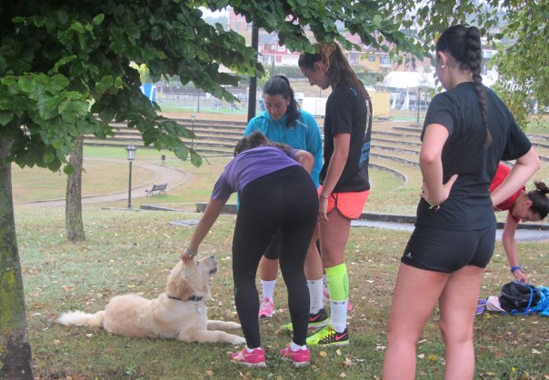 20150729-entrenoperro