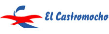 El Castromocho